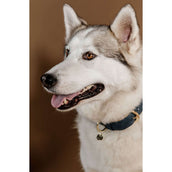 Kentucky HundeKragen Soft Vegan Leather Navy/Beige Kentucky HundeKragen Soft Vegan Leather Navy/Beige