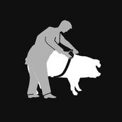 Kerbl Viehmaßband Animeter im Kunststoffgehäuse Kerbl Viehmaßband Animeter im Kunststoffgehäuse