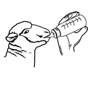 Kerbl Lämmerflasche Plexiglas Kerbl Lämmerflasche Plexiglas