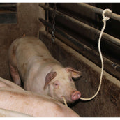 Kerbl Fürstrick Großtiere Kerbl Fürstrick Großtiere