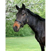 Covalliero Halfter Eco Leder Braun Covalliero Halfter Eco Leder Braun