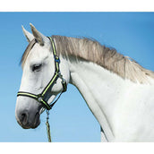 Covalliero Führstrick Hippo Karabinerhaken Antazit/Zitrone Covalliero Führstrick Hippo Karabinerhaken Antazit/Zitrone