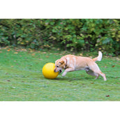 Kerbl Hundespielball Kunststoff Gelb Kerbl Hundespielball Kunststoff Gelb