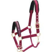 Kieffer Halfter Nylon Burgunderrot Kieffer Halfter Nylon Burgunderrot