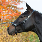 Kieffer Kapzaum Perfect Schwarz Kieffer Kapzaum Perfect Schwarz