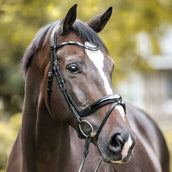 Kavalkade Trense Ivana Englisch Schwarz Kavalkade Trense Ivana Englisch Schwarz