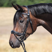 Kavalkade Trense Ivy IR Schwarz Kavalkade Trense Ivy IR Schwarz