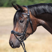 Kavalkade Trense Ivy IR Schwarz Kavalkade Trense Ivy IR Schwarz