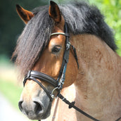 Kavalkade Trense Clinchesse Braun/Silber Kavalkade Trense Clinchesse Braun/Silber