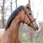 Kavalkade Trense Florina KavalSH4 Rundgenäht Braun Kavalkade Trense Florina KavalSH4 Rundgenäht Braun