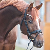 Kavalkade Trense Everness Schwarz Kavalkade Trense Everness Schwarz