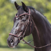 Kavalkade Zaum Everana Hannover Braun Kavalkade Zaum Everana Hannover Braun