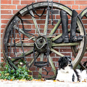 Kavalkade Zügel Cortica Vegane aus Kork Schwarz Kavalkade Zügel Cortica Vegane aus Kork Schwarz