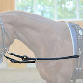 Kavalkade Ausbindezügel Ecoline Schwarz Kavalkade Ausbindezügel Ecoline Schwarz