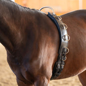 Kavalkade Longiergurt Frame Schwarz Kavalkade Longiergurt Frame Schwarz