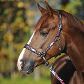 Kavalkade Halfter Classic Raute Blau/Creme/Bordeaux Kavalkade Halfter Classic Raute Blau/Creme/Bordeaux