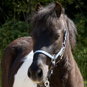 Kavalkade Halfter Shorty Blau Kavalkade Halfter Shorty Blau