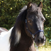 Kavalkade Halfter Shorty Navy Kavalkade Halfter Shorty Navy