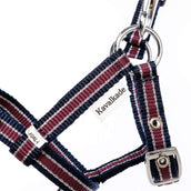 Kavalkade Halfter Foal/Yearling Marineblau/Bordeaux/Silber Kavalkade Halfter Foal/Yearling Marineblau/Bordeaux/Silber