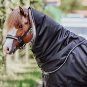 Kavalkade Halsstück Iceland 50g Schwarz/Schwarz/Bordeaux/Grau Kavalkade Halsstück Iceland 50g Schwarz/Schwarz/Bordeaux/Grau