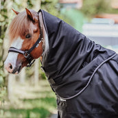 Kavalkade Halsstück Iceland 50g Schwarz/Schwarz/Bordeaux/Grau Kavalkade Halsstück Iceland 50g Schwarz/Schwarz/Bordeaux/Grau