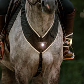 Kavalkade Brustgeschirr Horselight Schwarz/Grau Kavalkade Brustgeschirr Horselight Schwarz/Grau