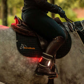 Kavalkade Vorderzeug/Sattel/Bein Horselight Schwarz/Grau Kavalkade Vorderzeug/Sattel/Bein Horselight Schwarz/Grau