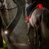 Kavalkade Vorderzeug/Sattel/Bein Horselight Schwarz/Grau Kavalkade Vorderzeug/Sattel/Bein Horselight Schwarz/Grau