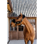 Kentucky Halfter Nylonwolle Weich Schwarz Kentucky Halfter Nylonwolle Weich Schwarz