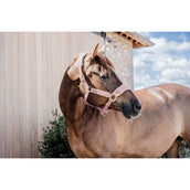 Kentucky Halfter Teddy Fleece Altrosa Kentucky Halfter Teddy Fleece Altrosa