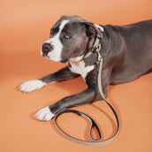 Kentucky Kragen Plaited Nylon Beige Kentucky Kragen Plaited Nylon Beige