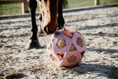 Kentucky Spielball Play & Hay Altrosa Kentucky Spielball Play & Hay Altrosa