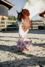 Kentucky Spielball Play & Hay Altrosa Kentucky Spielball Play & Hay Altrosa