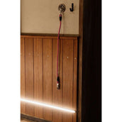 Kentucky Anbindestrick Silicone Rosa Kentucky Anbindestrick Silicone Rosa