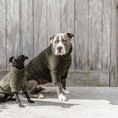 Kentucky Hunde Sweater Teddy Fleece Pine Green Kentucky Hunde Sweater Teddy Fleece Pine Green