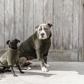 Kentucky Hunde Sweater Teddy Fleece Pine Green Kentucky Hunde Sweater Teddy Fleece Pine Green