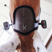 Kentucky Sattelgurtschoner Sheepskin Stud Braun Kentucky Sattelgurtschoner Sheepskin Stud Braun