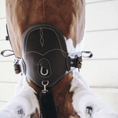 Kentucky Spring Sattelgurt Short Stud Braun Kentucky Spring Sattelgurt Short Stud Braun