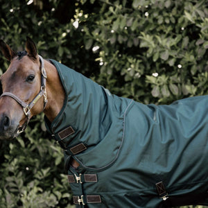 Kentucky Turnout All Weather 160g Dunkelgrün Kentucky Turnout All Weather 160g Dunkelgrün