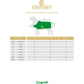 Kentucky Hundejacke Reflective & Water Repellent Silber