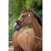 Covalliero Halfter ClassicSoft Cappuccino Covalliero Halfter ClassicSoft Cappuccino