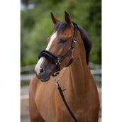 Covalliero Halfter ClassicSoft Schwarz Covalliero Halfter ClassicSoft Schwarz