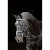 Kerbl Trense Classic Leder Schwarz Kerbl Trense Classic Leder Schwarz