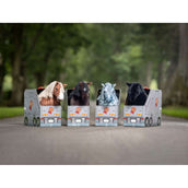 LeMieux Toy Pony Schwarz LeMieux Toy Pony Schwarz