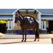 LeMieux Schabracke Merino Loire Classic Springen Juniper LeMieux Schabracke Merino Loire Classic Springen Juniper