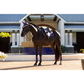 LeMieux Schabracke Merino Loire Classic Springen Juniper LeMieux Schabracke Merino Loire Classic Springen Juniper