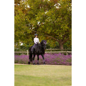 LeMieux Schabracke Loire Classic Dressur Juniper LeMieux Schabracke Loire Classic Dressur Juniper