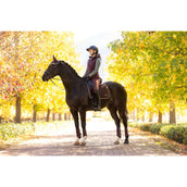 LeMieux Schabracke Loire Classic Dressur Damaszenerpflaume LeMieux Schabracke Loire Classic Dressur Damaszenerpflaume