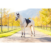 LeMieux Schabracke Loire Classic Vielseitigkeit Juniper LeMieux Schabracke Loire Classic Vielseitigkeit Juniper