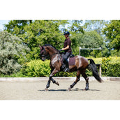 LeMieux Polo Classique Herren Damaszenerpflaume LeMieux Polo Classique Herren Damaszenerpflaume